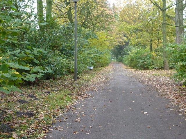 2014 10 30 Seniorenochtend Slotdag